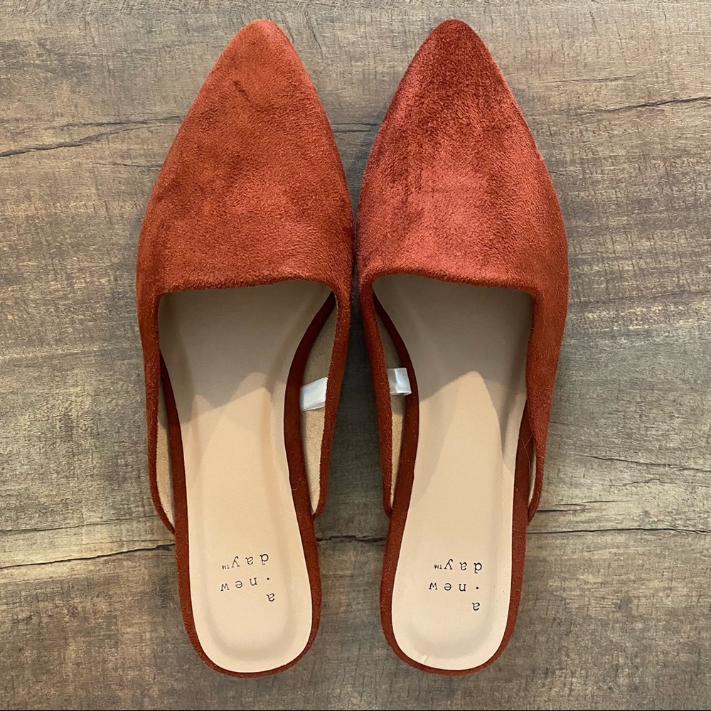 A New Day Velvet Mules 💃🏼